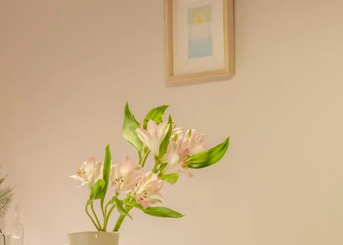 Apartment 3 Queens Hongdae,myeongdong,arex,seoul Trip,cozy Seoul